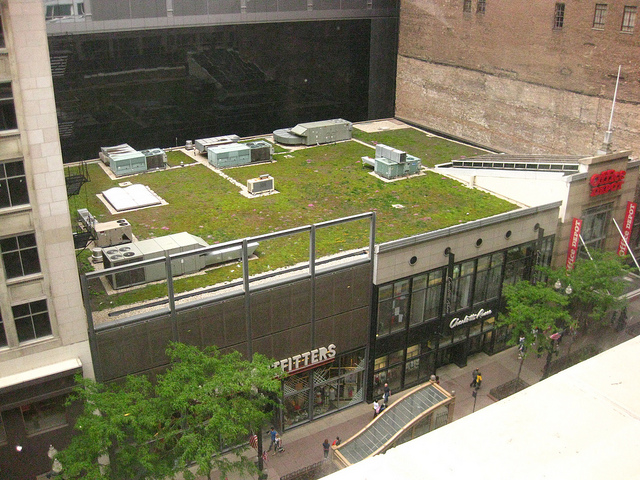 /attachments/4b13b3b3-b7a3-11e4-a9fb-bc764e2038f2/Green roof Chicago (4811639078_ef88d08889_z).jpg
